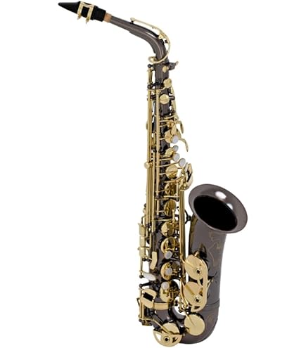 Amazon.com: Selmer La Voic ll Alto Saxophone Outfit : Musical
