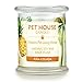 Pet House 9 oz Pina Colada Scented Pet Odor Candle, Clean Burning, Long Lasting, Plant Based Spring, Summer Scented Soy Candle, 60 Hour Burn Time
