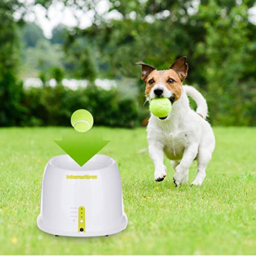 All For Paws Interactive Automatic Ball Launcher Dog Toy, Tennis Ball
