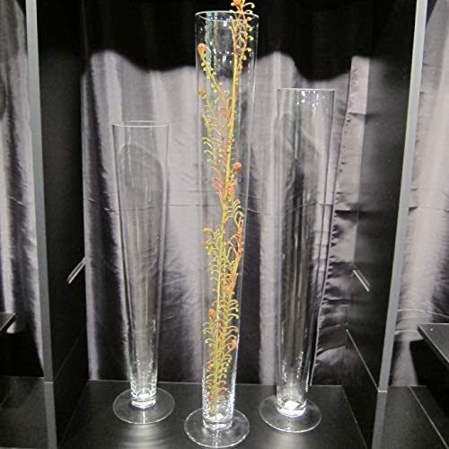 WGV Trumpet Glass Vase, Open 4", Height 24", Clear Pilsner Vase, Candle Holder, Floral Container, Bulk, 6 Pieces - Thumbnail 2
