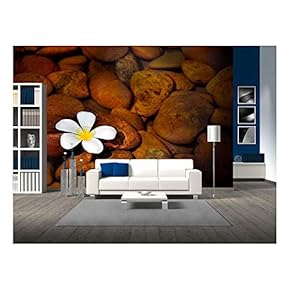 A Plumeria on Clear Lake. - Removable Wall Mural | Self-Adhesive Large Wallpaper - 66x96 inches