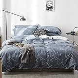 VM VOUGEMARKET 3 Pieces Duvet Cover Set Queen,Geometric Blue Duvet Cover with 2 Pillowcases,Modern Stylish Bedding Set Home Collection for Adults Men Teens (Queen,Neil)