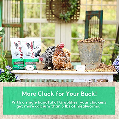 5 Grubblies+USA+Grown+Mealworms+Nutritious+Oven+Dried
