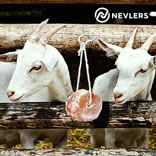 Nevlers 6 Pack All Natural Pure Himalayan Salt Licks for Animals
