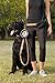 Tahoe Tribe Outfitters Hands Free Bungee Dog Leash w/Bonus Collapsible Water Bowl and Storage Pouch from Pet Supplies for Runners, Hikers & The Great Outdoors