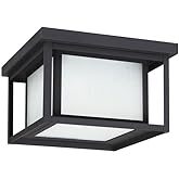 Sea Gull Lighting 79039EN3-12 Hunnington Two Light Outdoor Ceiling Flush Mount Hanging Modern Light Fixture, Black Finish