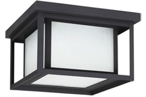 Sea Gull Lighting 79039EN3-12 Hunnington Two Light Outdoor Ceiling Flush Mount Hanging Modern Light Fixture, Black Finish