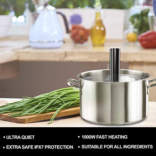 DORINI Sous Vide Machine 1000W Ultra Slim Immersion Circulator Accurate Temperature Digital