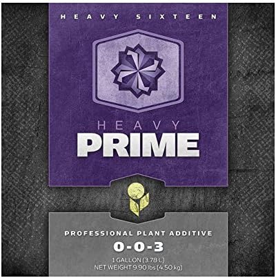 Heavy 16 Prime Con