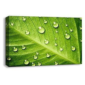 Canvas Wall Art Leaf Veins Pictures Home Wall Decorations for Bedroom Living Room Paintings Canvas Prints Framed - 12x18 inches