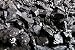 Blacksmithing and Stove Coal 16lbs primary