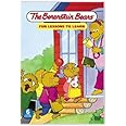 The Berenstain Bears - Fun Lessons to Learn [DVD]