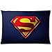 DC Comic Superman Custom Rectangle Pillowcase Covers Standard Size 20