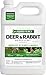 Liquid Fence Deer & Rabbit Repellent Concentrate, 1-Gallon primary