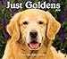 Just Goldens 2015 Box Calendar