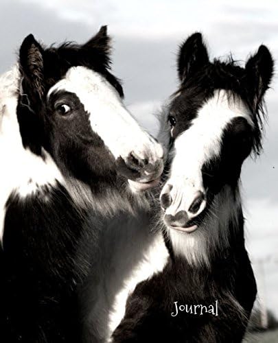 Journal: Black and White Horses Paperback – 8 Nov. 2017
