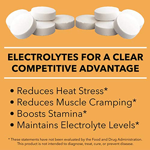 1 SaltStick+Fastchews+Electrolyte+Hydration+Supplements