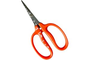 Chikamasa B-500sf Stainless Steel Scissors w/ Fluorine Coating (Resin-resistant)