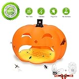 Alexca 2 Trap, Safe and Effective pest Control ...(Orange)