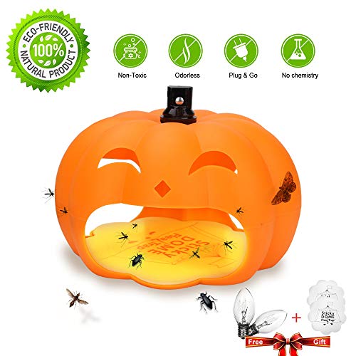 Alexca 2 Trap, Safe and Effective pest Control ...(Orange) Alexca 2 Trap, Safe and Effective pest Control ...(Orange)