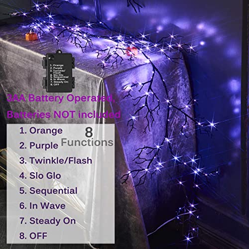 51o3WxwsCcL.jpg
