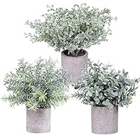 Winlyn Mini Potted Plants Artificial Flocked Eucalyptus Boxwood Rosemary Greenery in Pots Faux Potted Herbs Small Houseplants 8.8"-10" Tall for Indoor Greenery Tabletop Décor Centerpiece 3 Pack