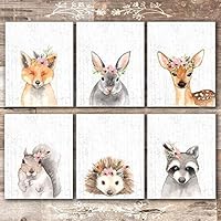 Woodland Animals Nursery Wall Art Prints (Set of 6) - Unframed - 8x10s