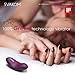 SVAKOM Echo Mini Clitoral Stimulation Rechargeable Luxury Vibrator(Violet).