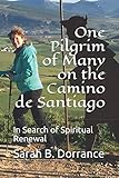 One Pilgrim of Many on the Camino de Santiago: In Search of Spiritual Renewal by 