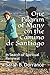 One Pilgrim of Many on the Camino de Santiago: In Search of Spiritual Renewal by 