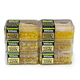 Wild Garden 100% Pure Raw Gourmet Honeycomb, All-Natural, No Additives, No Preservatives, Fresh From The Farm! (Pack of 6)