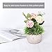 Lvydec 2 Pack Artificial Potted Plants, Mini-Sized Fake Topiary Plants in Pots for Bathroom Office Desk Shelf Kitchen Decoration
