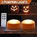 HOME MOST Halloween Pumpkin Lights with Remote and Timers - Orange Pumpkin Lights Battery Operated Halloween Decor - LED Lights Halloween - Jack-O-Lantern LED Lights Halloween Pumpkin Lights Battery