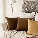 MIULEE Pack of 2, Velvet Soft Solid Decorative Square Throw Pillow Covers Set Cushion Case for Sofa Bedroom Car 18 x 18 Inch 45 x 45 Cm