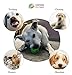 EVERFRIEND Interactive Soft Rubber Toy Ball For Small to Medium Dogs (Puppies) Cats - Virtually Indestructible Dog Ball [Bite Resistant] - Teeth Cleaning, IQ Training, Playing, Chewing - 2.8