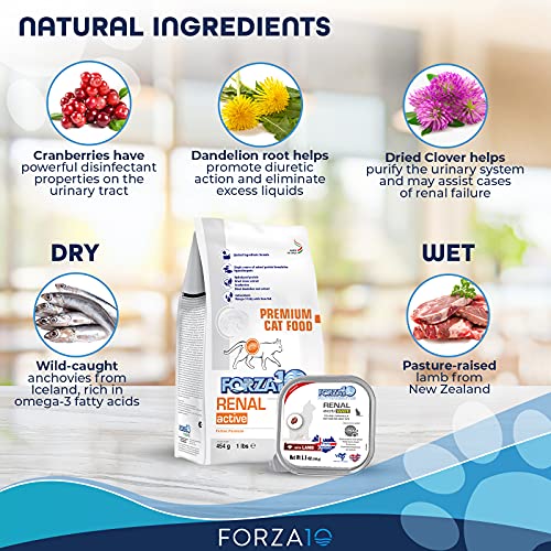 Forza10 Renal Cat Food Combo with 16 Packs Wet Cat Food Kidney RENAL