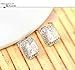 AnaZoz Jewelry 18K Gold Plated Square Stud Earring Rose Gold Plate/Platinum Plated SWA Elements Austrian Crystals Earrings