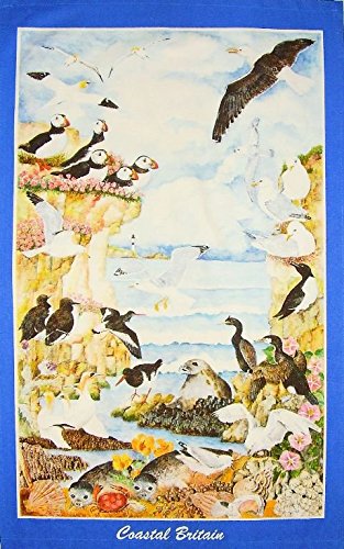 Coastal Grande Bretagne Thé Serviette Oiseaux De Mer