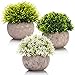 Artificial Boxwood & Grass Plants - Gorgeous Fake Plants in Pots for Home Decor - Indoor Faux Plants Bring Your Living and Workspace to Life Without Any of The Maintenance -3 Plants Per Unit