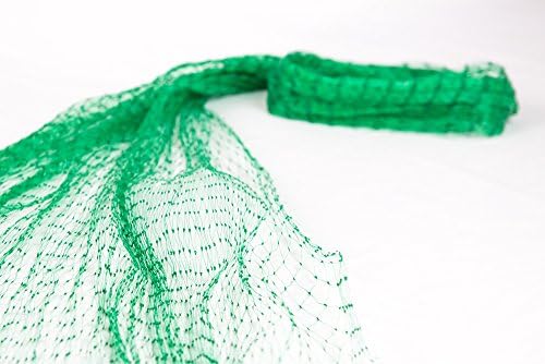 Gardener House Economical Bird Netting-Protect Fruit Trees,Cropsand Vegetables from Ows,Birds in 6.5'x 33'£¬Green