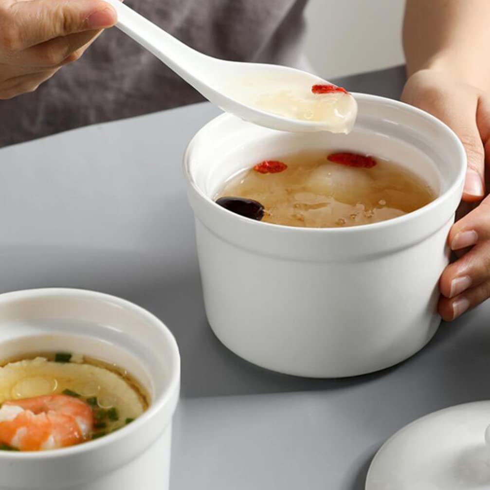 Ceramic Stew Pot with Lid Steam Soup Bowl Steaming Cup Stockpot Cooking Earthen Casserole Pot for Home Kitchen Egg Custard Medicinal Birds Nest 580ml