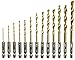 NORTOOLS Hex Shank Drill Bit Set 13 PCS High Speed Steel Titanium Coated Twist Drill Bits 1/4 Inch Quick Change Hex Driver Set for Wood Plastic Aluminum Alloy (1/16