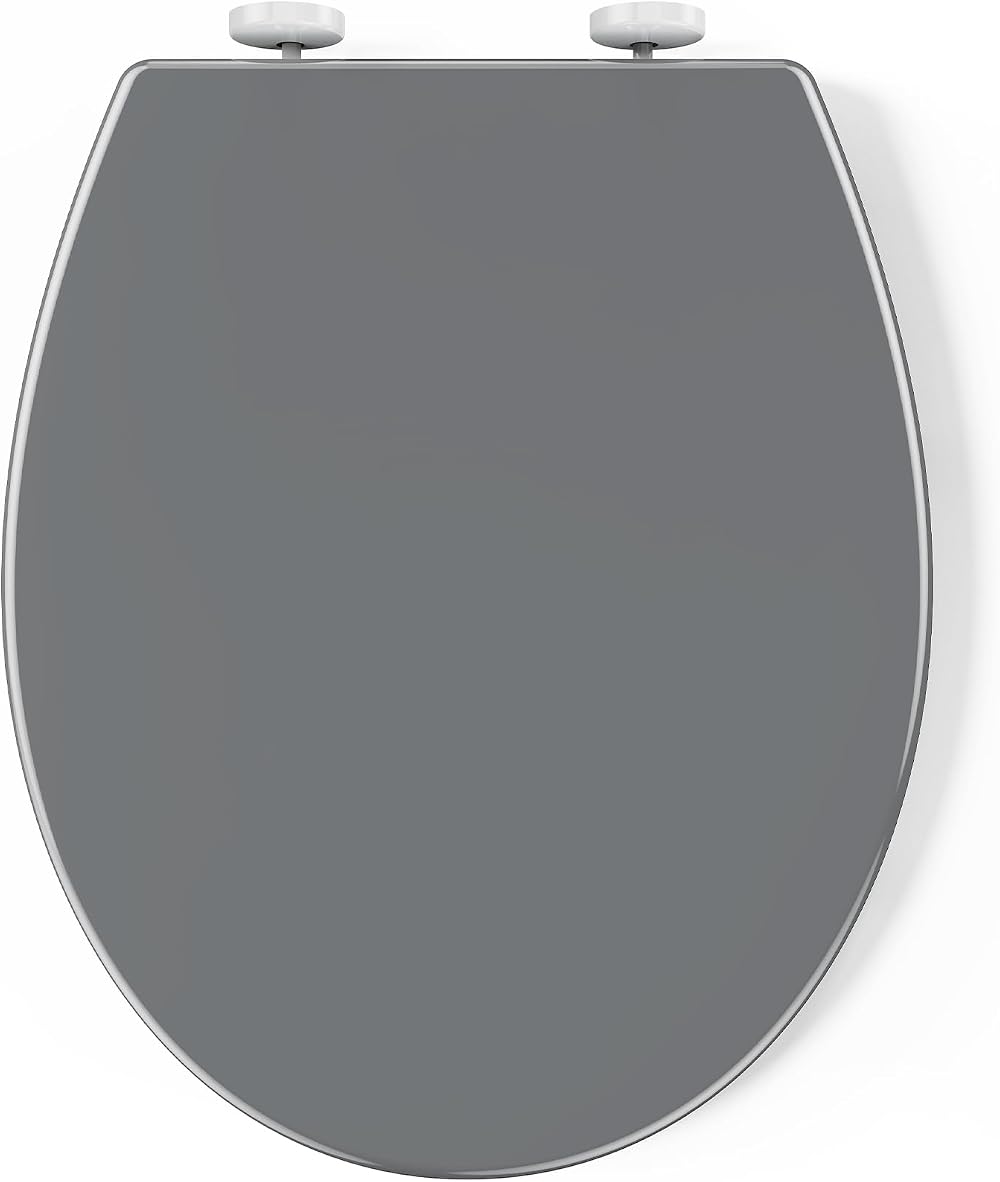 Pipishell Soft Close Toilet Seat with Quick Release Grey O Shape