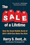 The Sale of a Lifetime: How the Great Bubble Burst of 2017-2019 Can Make You Rich