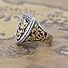 Silver Cool Gothic Lion Sheild Stainless Steel Mens Womens King Crown Ring