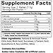 BCAA Powder for Women and Men, Best Amino Acids Supplement for Workout and Recovery, Amino Juice 6 Serving Variety Pack ( 3 Packets Green Apple and 3 Packets Cherry Snowcone Flavor).