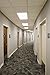Triangle Bulbs (10 Pack) FB32/741/6 U-Bend 32-Watt T8 Fluorescent 4100 Kelvin Light Bulb (6 Inch Tube Spacing)