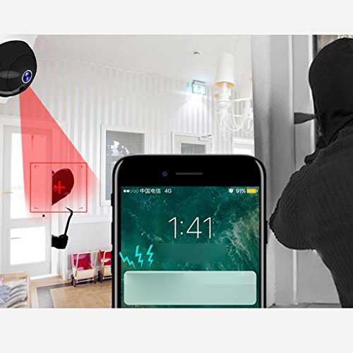 EgalBest 1.0M/1.3M/2.0M Pixel Intelligent Wireless 2.4GHz Home Security Camera Two Way Voice Intercom Network Camera US plug & 1.0M pixel