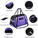 PETTOM Soft-Sided Pet Carrier for Dogs Collapsible Cats Travel Bag Under Seat Airline Approved Tote Fleece Pet Mats Included Escape Proof- M Purple