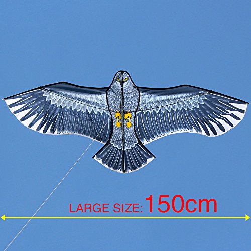 HENGDA KITE 60Inch Edge Eagle Kite Pricepulse
